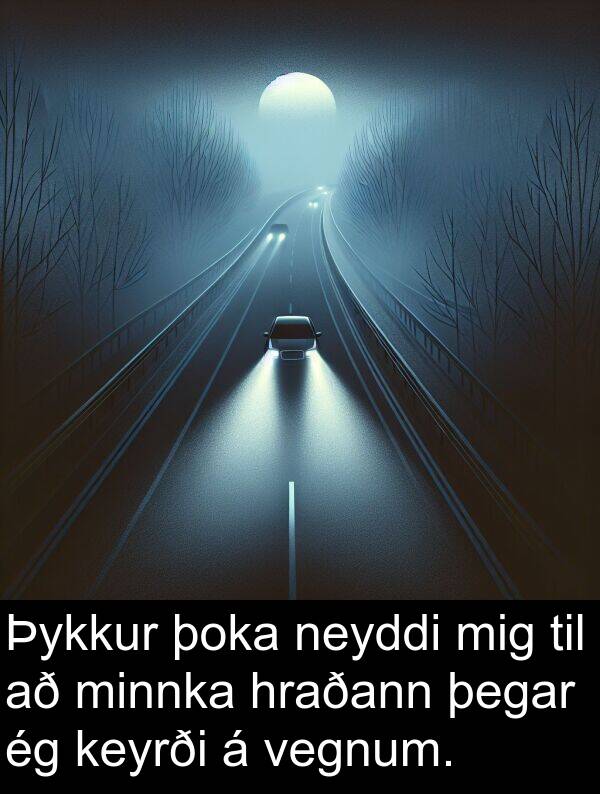 þoka: Þykkur þoka neyddi mig til að minnka hraðann þegar ég keyrði á vegnum.