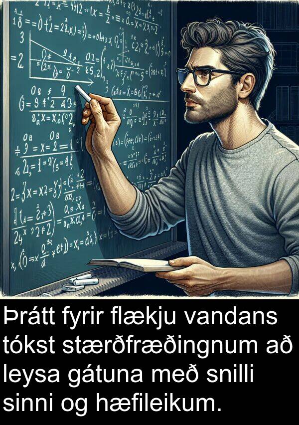 vandans: Þrátt fyrir flækju vandans tókst stærðfræðingnum að leysa gátuna með snilli sinni og hæfileikum.