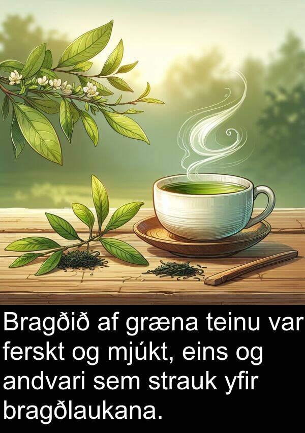 teinu: Bragðið af græna teinu var ferskt og mjúkt, eins og andvari sem strauk yfir bragðlaukana.