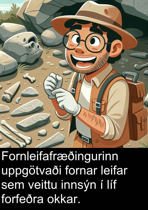 leifar: Fornleifafræðingurinn uppgötvaði fornar leifar sem veittu innsýn í líf forfeðra okkar.