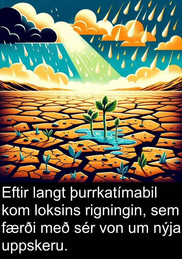 þurrkatímabil: Eftir langt þurrkatímabil kom loksins rigningin, sem færði með sér von um nýja uppskeru.