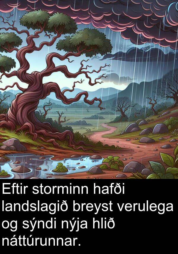 landslagið: Eftir storminn hafði landslagið breyst verulega og sýndi nýja hlið náttúrunnar.