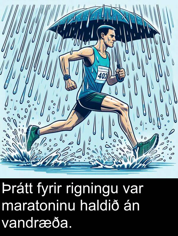 vandræða: Þrátt fyrir rigningu var maratoninu haldið án vandræða.