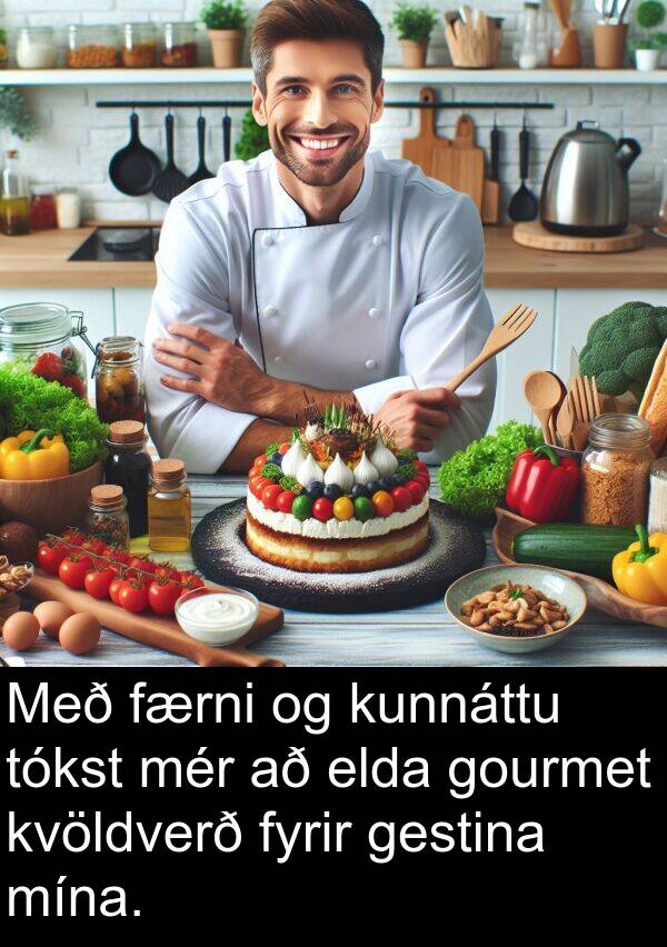 elda: Með færni og kunnáttu tókst mér að elda gourmet kvöldverð fyrir gestina mína.
