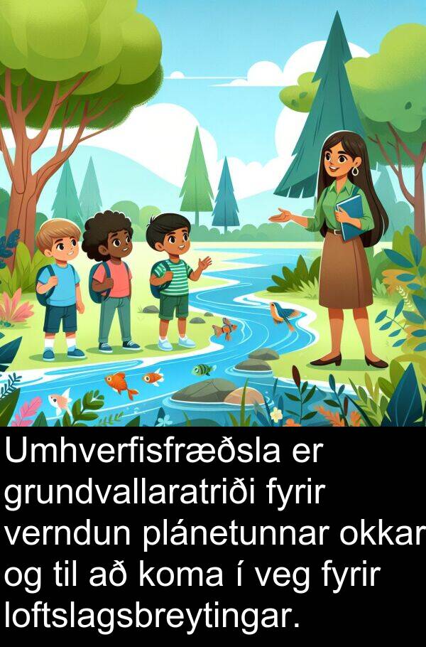 veg: Umhverfisfræðsla er grundvallaratriði fyrir verndun plánetunnar okkar og til að koma í veg fyrir loftslagsbreytingar.
