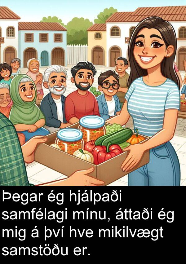 samstöðu: Þegar ég hjálpaði samfélagi mínu, áttaði ég mig á því hve mikilvægt samstöðu er.