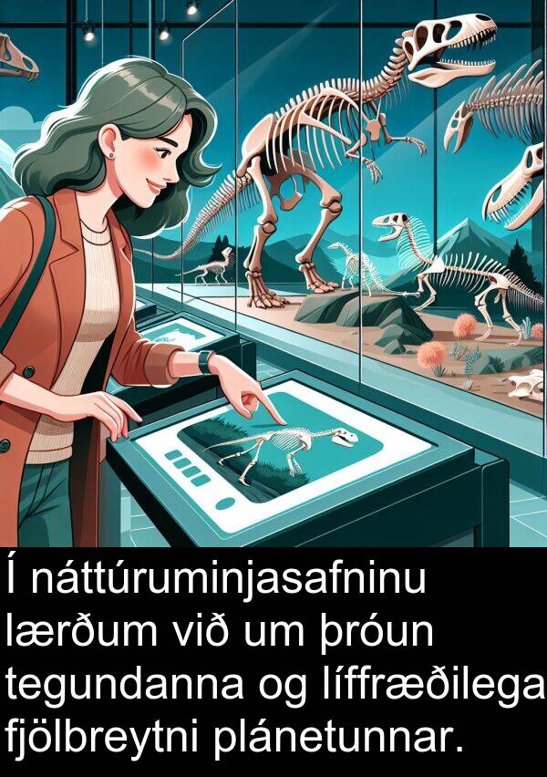 þróun: Í náttúruminjasafninu lærðum við um þróun tegundanna og líffræðilega fjölbreytni plánetunnar.