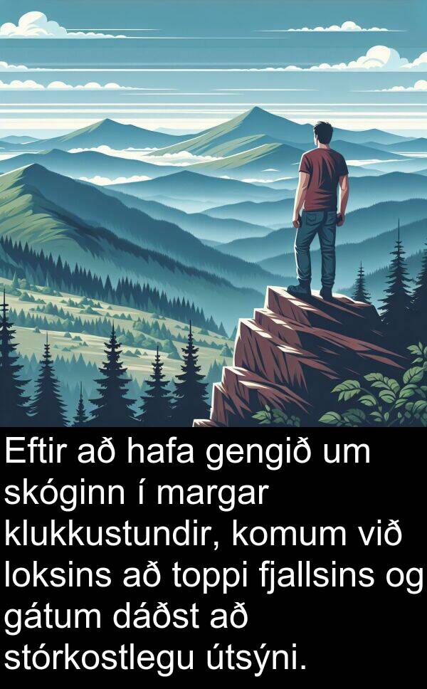 dáðst: Eftir að hafa gengið um skóginn í margar klukkustundir, komum við loksins að toppi fjallsins og gátum dáðst að stórkostlegu útsýni.