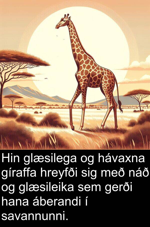 gíraffa: Hin glæsilega og hávaxna gíraffa hreyfði sig með náð og glæsileika sem gerði hana áberandi í savannunni.