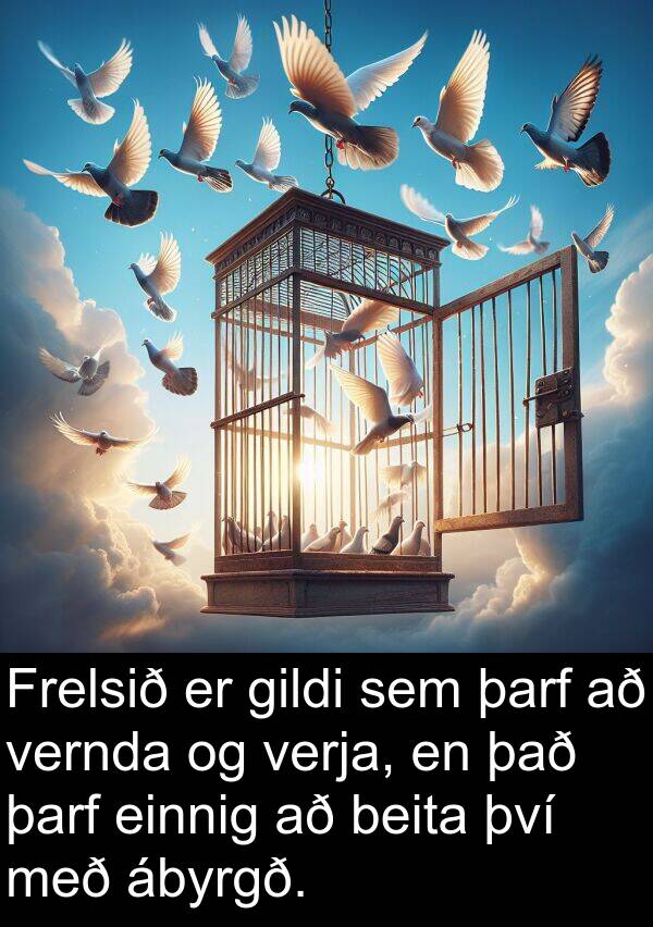 gildi: Frelsið er gildi sem þarf að vernda og verja, en það þarf einnig að beita því með ábyrgð.