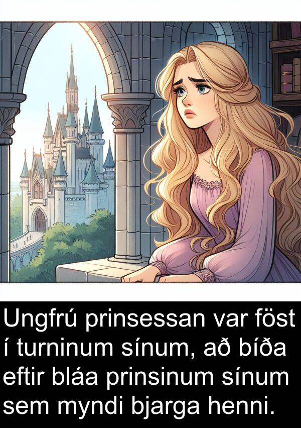 prinsessan: Ungfrú prinsessan var föst í turninum sínum, að bíða eftir bláa prinsinum sínum sem myndi bjarga henni.