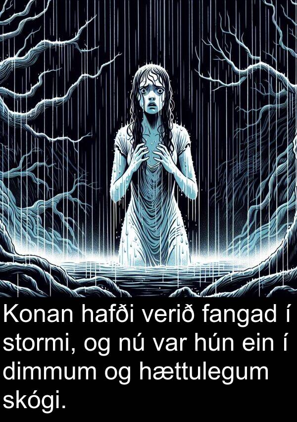dimmum: Konan hafði verið fangad í stormi, og nú var hún ein í dimmum og hættulegum skógi.