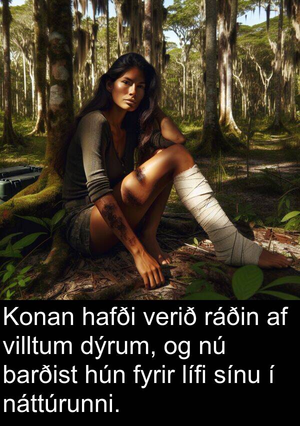 barðist: Konan hafði verið ráðin af villtum dýrum, og nú barðist hún fyrir lífi sínu í náttúrunni.