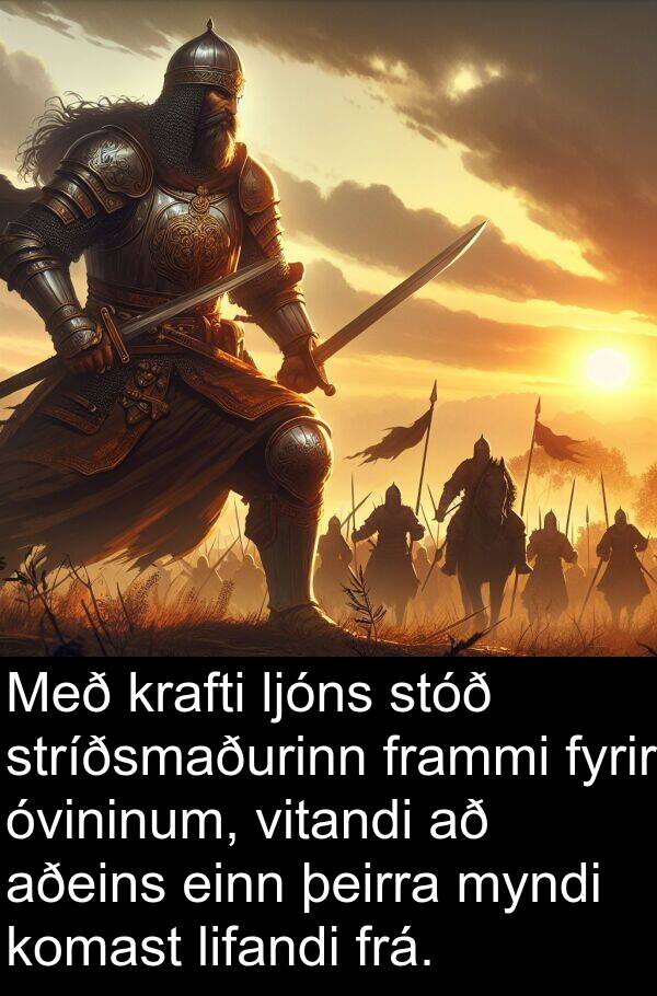 einn: Með krafti ljóns stóð stríðsmaðurinn frammi fyrir óvininum, vitandi að aðeins einn þeirra myndi komast lifandi frá.