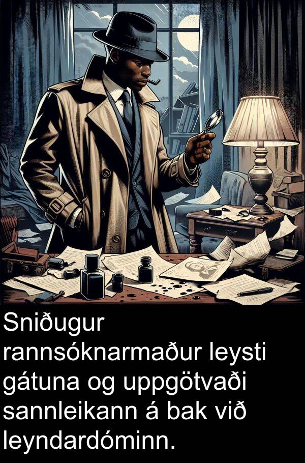 leysti: Sniðugur rannsóknarmaður leysti gátuna og uppgötvaði sannleikann á bak við leyndardóminn.