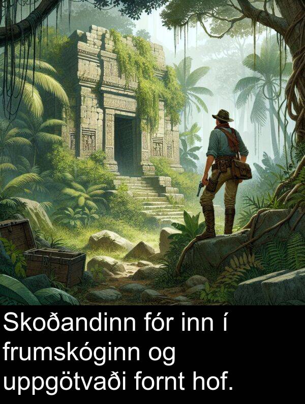 inn: Skoðandinn fór inn í frumskóginn og uppgötvaði fornt hof.