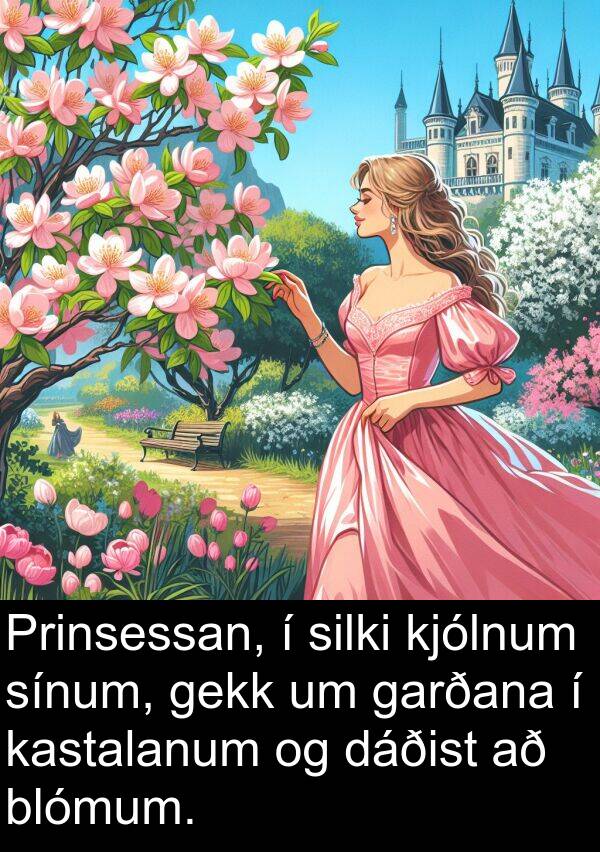 gekk: Prinsessan, í silki kjólnum sínum, gekk um garðana í kastalanum og dáðist að blómum.
