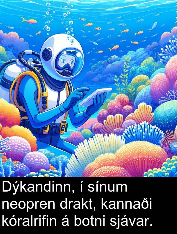 drakt: Dýkandinn, í sínum neopren drakt, kannaði kóralrifin á botni sjávar.