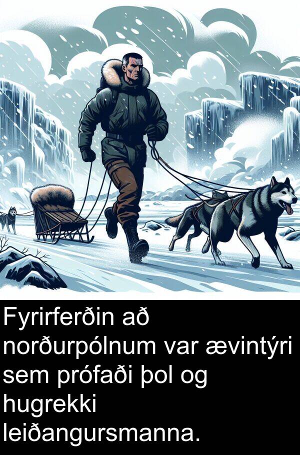 þol: Fyrirferðin að norðurpólnum var ævintýri sem prófaði þol og hugrekki leiðangursmanna.