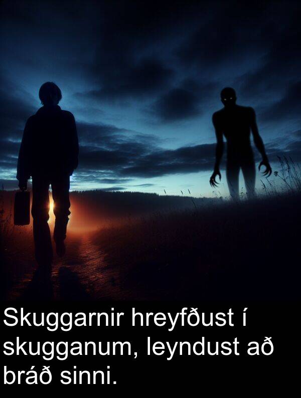 leyndust: Skuggarnir hreyfðust í skugganum, leyndust að bráð sinni.