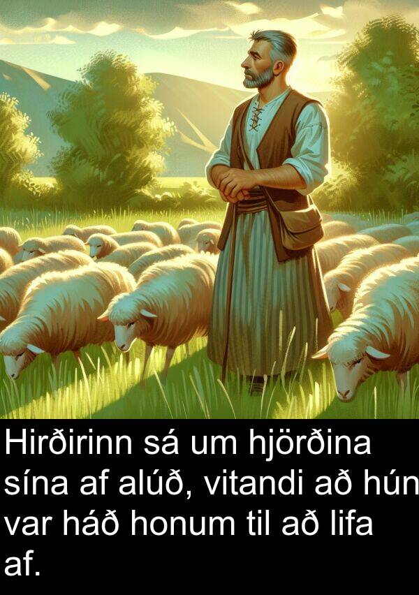 af: Hirðirinn sá um hjörðina sína af alúð, vitandi að hún var háð honum til að lifa af.