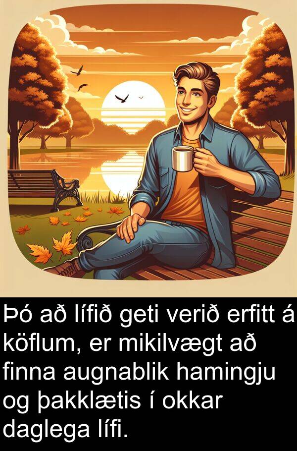 þakklætis: Þó að lífið geti verið erfitt á köflum, er mikilvægt að finna augnablik hamingju og þakklætis í okkar daglega lífi.