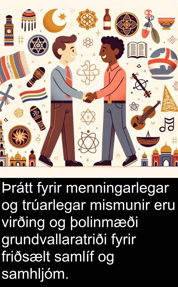 þolinmæði: Þrátt fyrir menningarlegar og trúarlegar mismunir eru virðing og þolinmæði grundvallaratriði fyrir friðsælt samlíf og samhljóm.