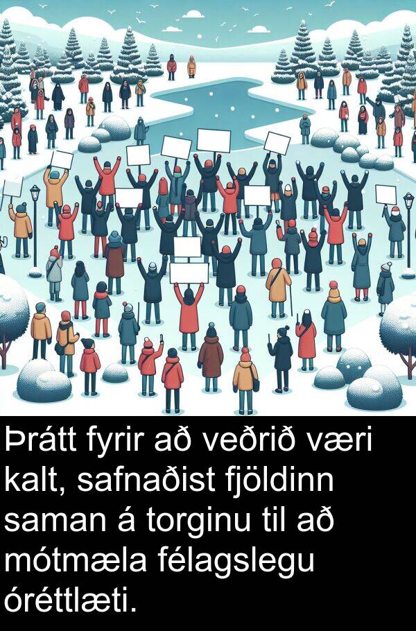 kalt: Þrátt fyrir að veðrið væri kalt, safnaðist fjöldinn saman á torginu til að mótmæla félagslegu óréttlæti.