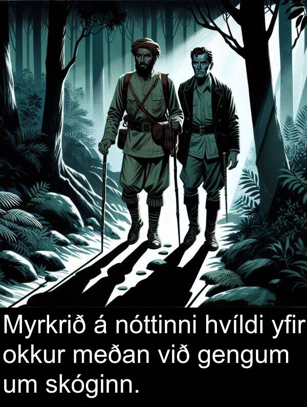 gengum: Myrkrið á nóttinni hvíldi yfir okkur meðan við gengum um skóginn.