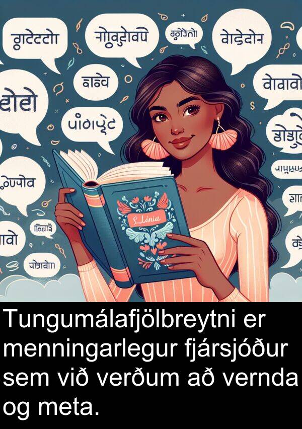 vernda: Tungumálafjölbreytni er menningarlegur fjársjóður sem við verðum að vernda og meta.