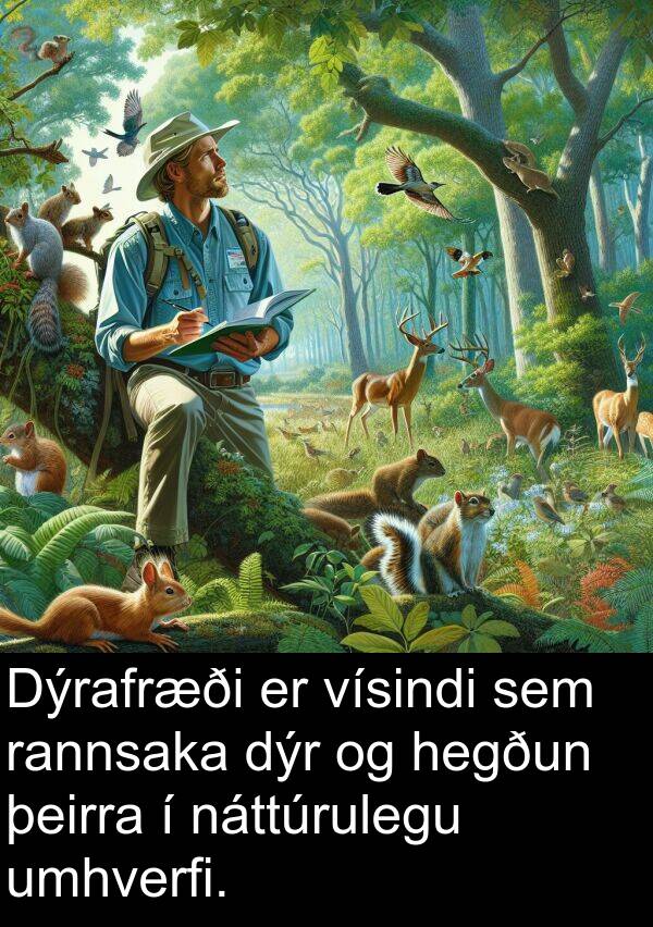 rannsaka: Dýrafræði er vísindi sem rannsaka dýr og hegðun þeirra í náttúrulegu umhverfi.