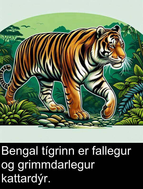 kattardýr: Bengal tígrinn er fallegur og grimmdarlegur kattardýr.