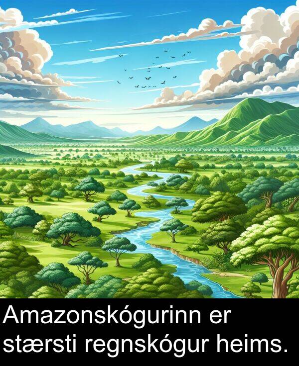 heims: Amazonskógurinn er stærsti regnskógur heims.