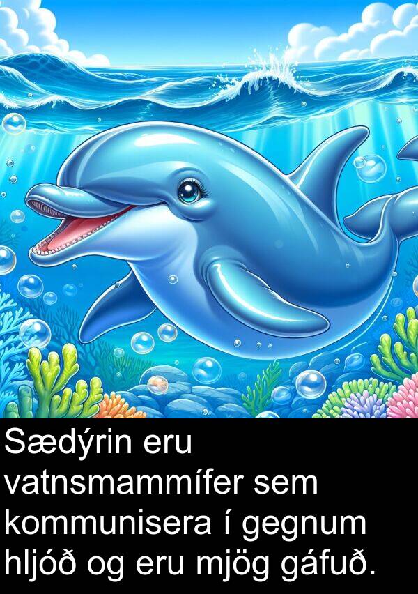 gáfuð: Sædýrin eru vatnsmammífer sem kommunisera í gegnum hljóð og eru mjög gáfuð.