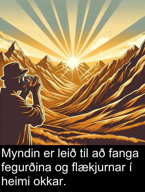 fanga: Myndin er leið til að fanga fegurðina og flækjurnar í heimi okkar.