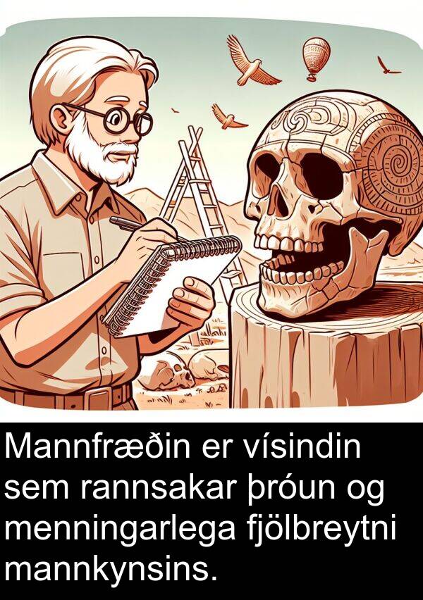 þróun: Mannfræðin er vísindin sem rannsakar þróun og menningarlega fjölbreytni mannkynsins.