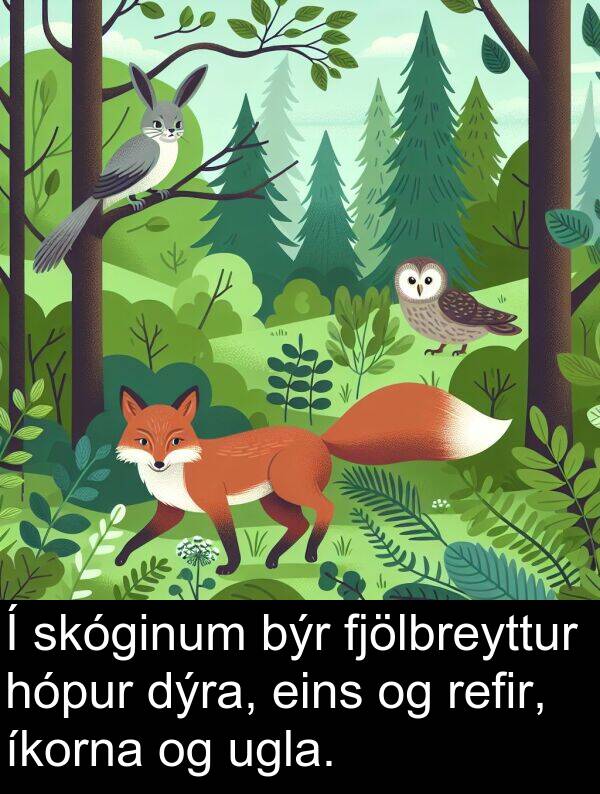 eins: Í skóginum býr fjölbreyttur hópur dýra, eins og refir, íkorna og ugla.