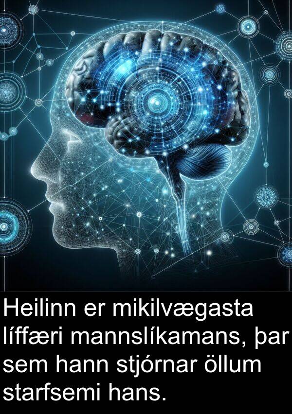 öllum: Heilinn er mikilvægasta líffæri mannslíkamans, þar sem hann stjórnar öllum starfsemi hans.