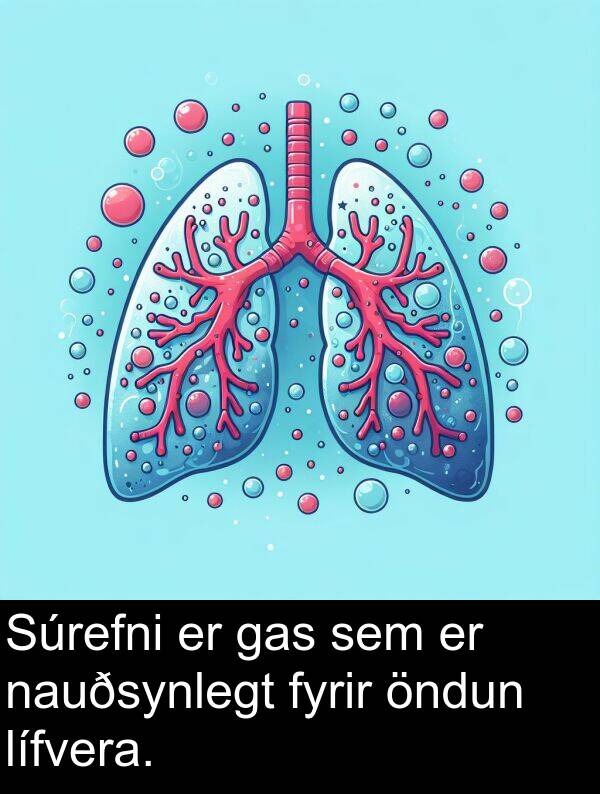 gas: Súrefni er gas sem er nauðsynlegt fyrir öndun lífvera.