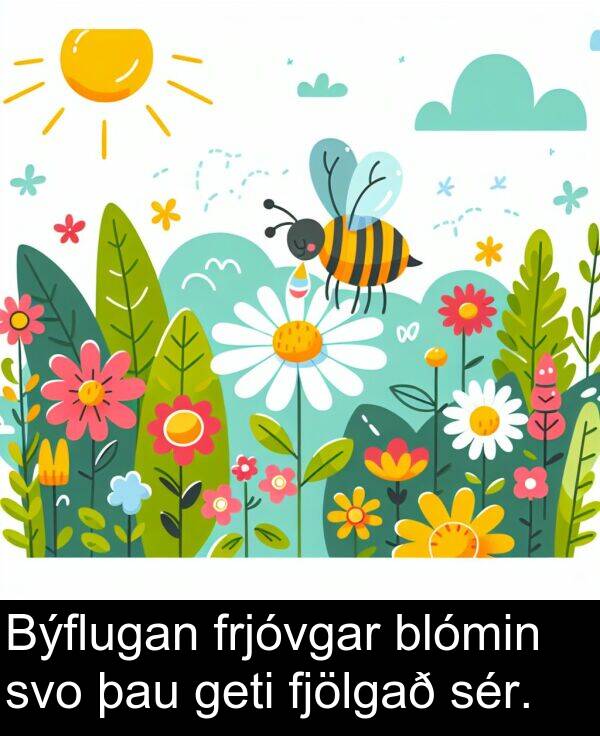 sér: Býflugan frjóvgar blómin svo þau geti fjölgað sér.