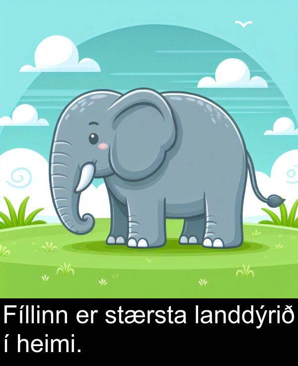 heimi: Fíllinn er stærsta landdýrið í heimi.