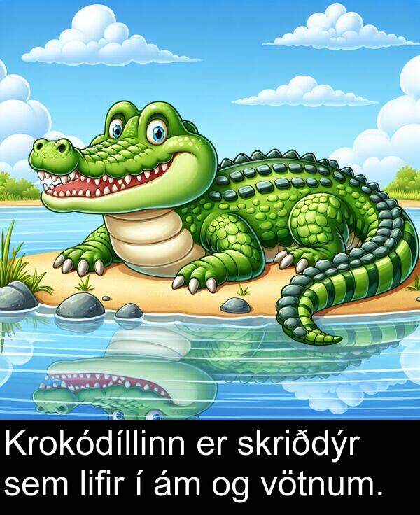 lifir: Krokódíllinn er skriðdýr sem lifir í ám og vötnum.