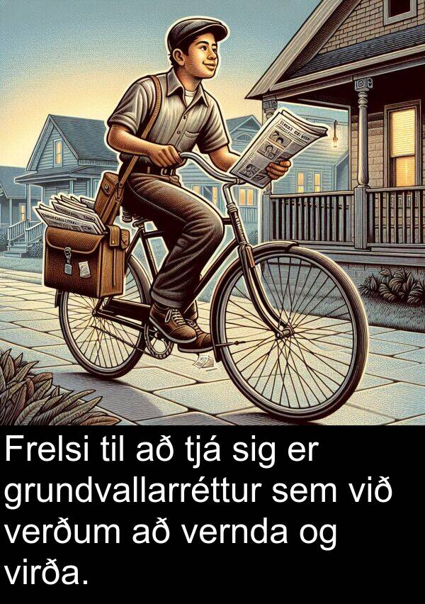 tjá: Frelsi til að tjá sig er grundvallarréttur sem við verðum að vernda og virða.