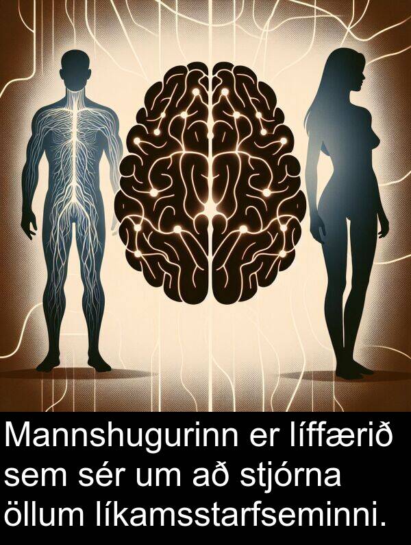 öllum: Mannshugurinn er líffærið sem sér um að stjórna öllum líkamsstarfseminni.