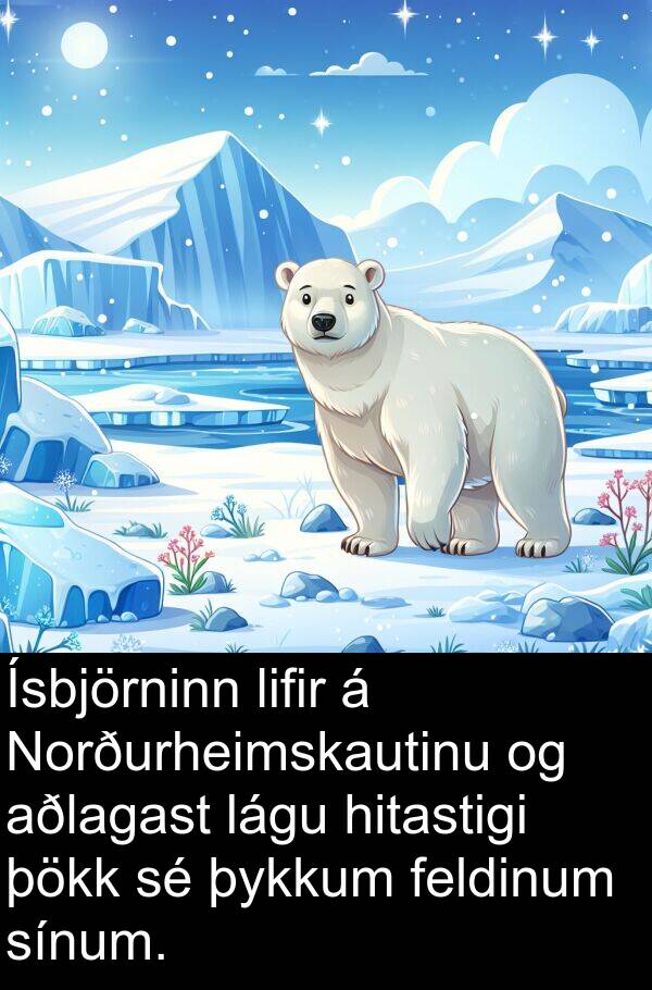 þykkum: Ísbjörninn lifir á Norðurheimskautinu og aðlagast lágu hitastigi þökk sé þykkum feldinum sínum.