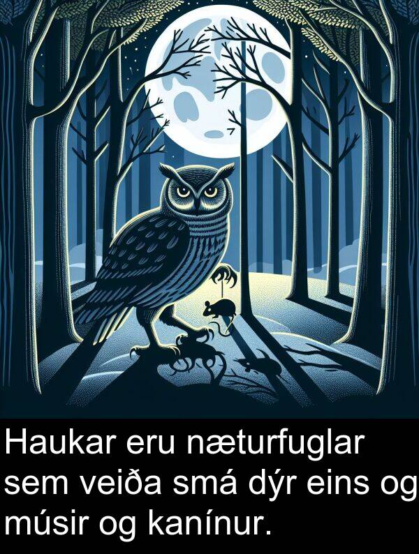 eins: Haukar eru næturfuglar sem veiða smá dýr eins og músir og kanínur.