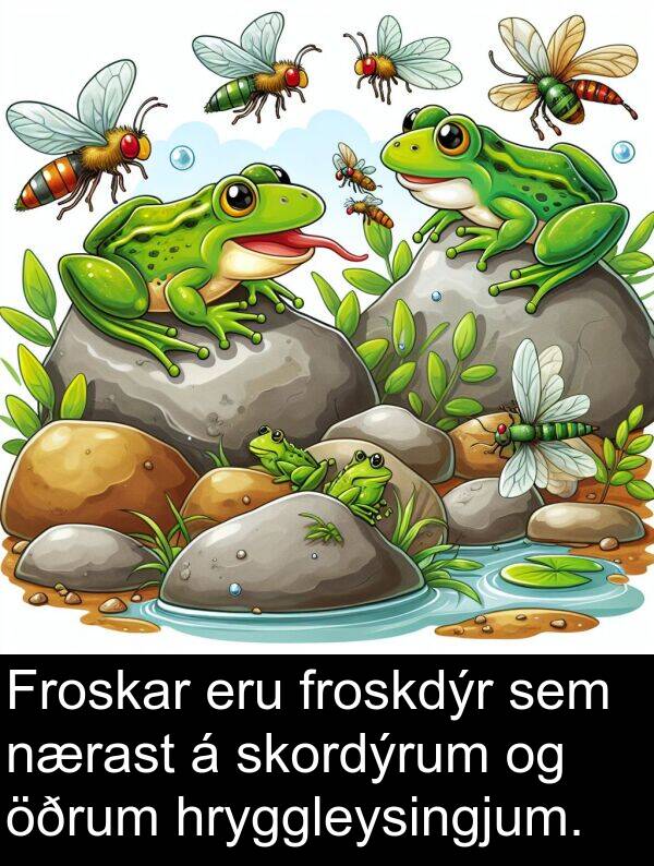 skordýrum: Froskar eru froskdýr sem nærast á skordýrum og öðrum hryggleysingjum.