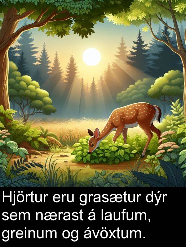 dýr: Hjörtur eru grasætur dýr sem nærast á laufum, greinum og ávöxtum.