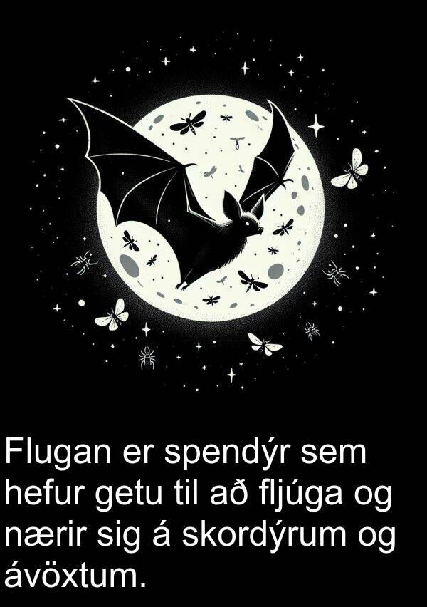 getu: Flugan er spendýr sem hefur getu til að fljúga og nærir sig á skordýrum og ávöxtum.