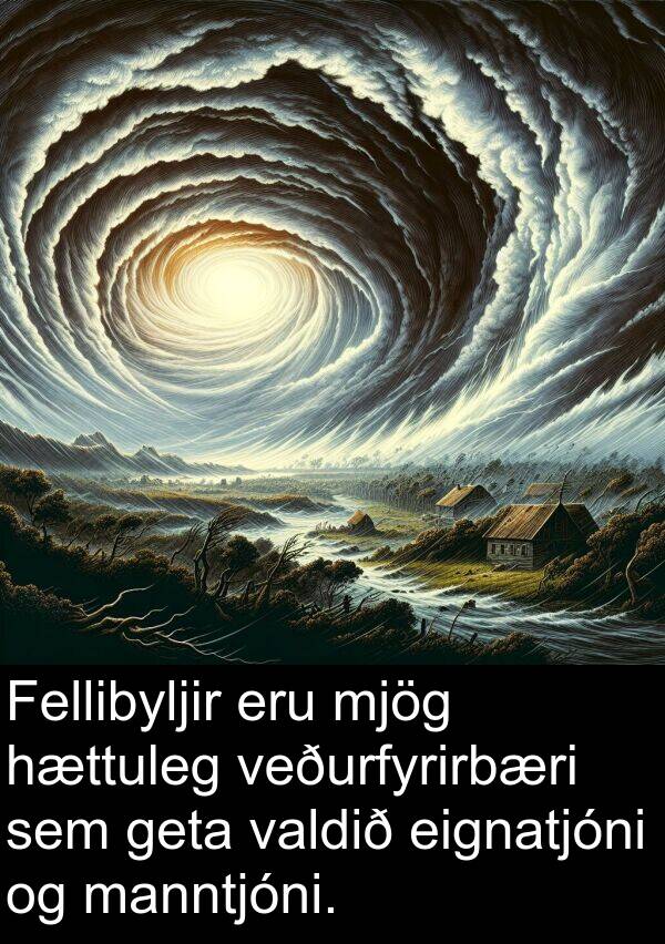valdið: Fellibyljir eru mjög hættuleg veðurfyrirbæri sem geta valdið eignatjóni og manntjóni.